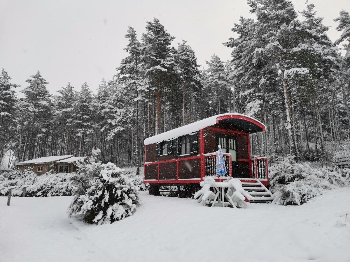 Les Chalets Du Haut-Forez Usson-en-Forez Luaran gambar