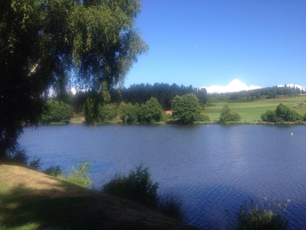 Les Chalets Du Haut-Forez Usson-en-Forez Luaran gambar