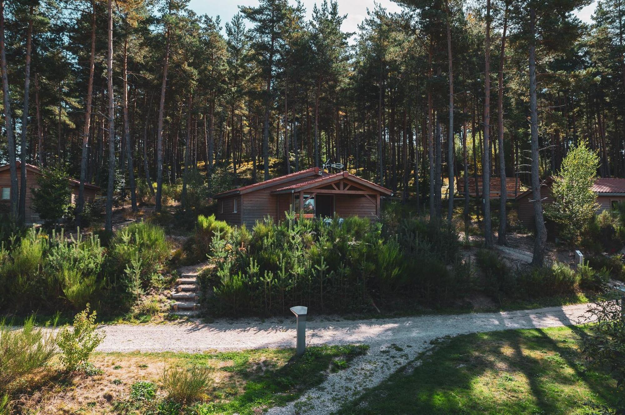 Les Chalets Du Haut-Forez Usson-en-Forez Luaran gambar