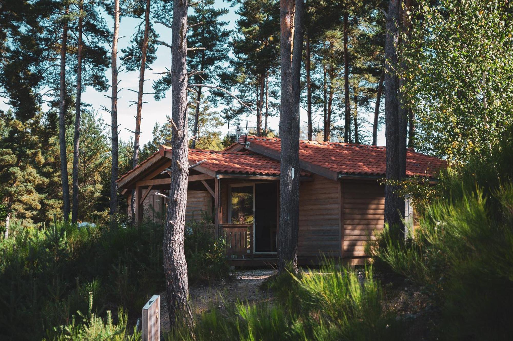 Les Chalets Du Haut-Forez Usson-en-Forez Luaran gambar